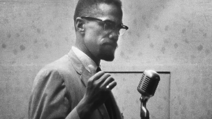 Ai đã giết Malcolm X? - Ai đã giết Malcolm X?