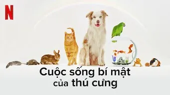 Cuộc sống bí mật của thú cưng - Cuộc sống bí mật của thú cưng